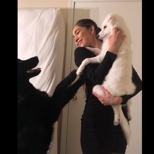 Meet your Posher, Ksena